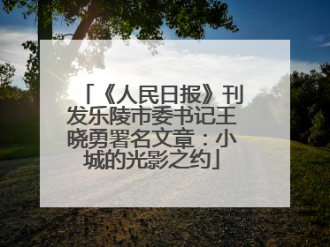 《人民日报》刊发乐陵市委书记王晓勇署名文章：小城的光影之约