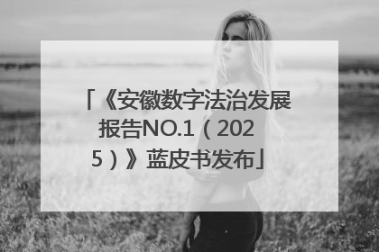 《安徽数字法治发展报告NO.1（2025）》蓝皮书发布