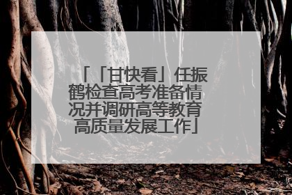 「甘快看」任振鹤检查高考准备情况并调研高等教育高质量发展工作