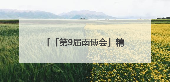 「第9届南博会」精雕小细节共谋大发展