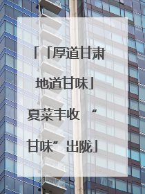 「厚道甘肃 地道甘味」夏菜丰收 “甘味”出陇