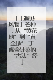 「遇见·风物」芒种：从“黄花地”到“黄金链” 丁嘴金针菜的“古法”经
