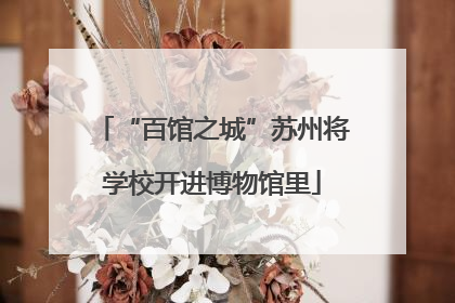 “百馆之城”苏州将学校开进博物馆里