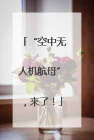 “空中无人机航母”，来了！