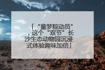 “童梦粽动员”，这个“双节”长沙生态动物园沉浸式体验趣味加倍