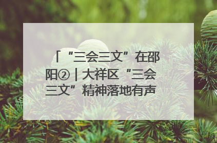 “三会三文”在邵阳②｜大祥区“三会三文”精神落地有声 以实干实绩助力区域高质量发展