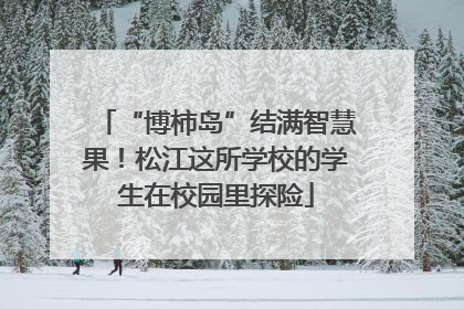 “博柿岛”结满智慧果！松江这所学校的学生在校园里探险
