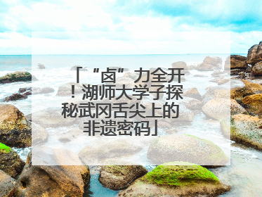 “卤”力全开！湖师大学子探秘武冈舌尖上的非遗密码
