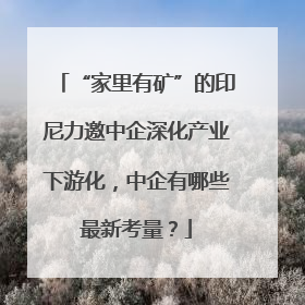 “家里有矿”的印尼力邀中企深化产业下游化，中企有哪些最新考量？