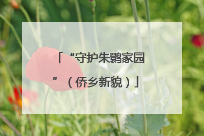“守护朱鹮家园”（侨乡新貌）