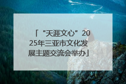 “天涯文心”2025年三亚市文化发展主题交流会举办