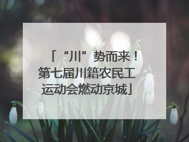 “川”势而来！第七届川籍农民工运动会燃动京城