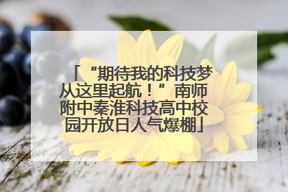 “期待我的科技梦从这里起航！”南师附中秦淮科技高中校园开放日人气爆棚