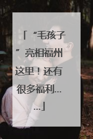 “毛孩子”亮相福州这里！还有很多福利……