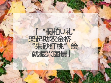 “桐柏U礼”架起助农金桥 “朱砂红桃”绘就振兴图景