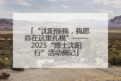 “沈阳懂我，我愿意在这里扎根”——2025“博士沈阳行”活动侧记