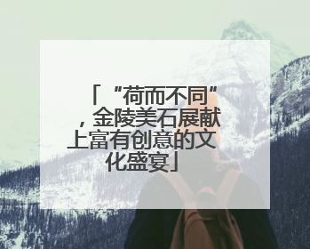 “荷而不同”，金陵美石展献上富有创意的文化盛宴