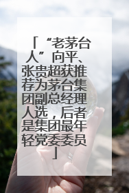 “老茅台人”向平、张贵超获推荐为茅台集团副总经理人选，后者是集团最年轻党委委员