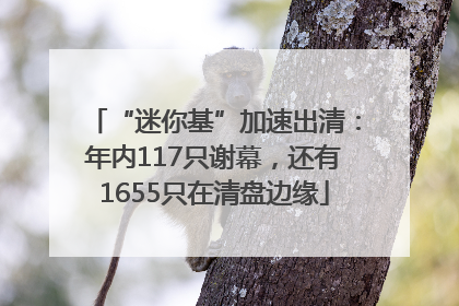 “迷你基”加速出清：年内117只谢幕，还有1655只在清盘边缘