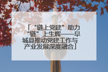 “链上党建”助力“链”上生辉——阜城县推动党建工作与产业发展深度融合