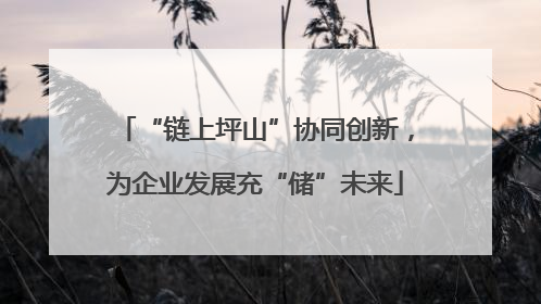 “链上坪山”协同创新，为企业发展充“储”未来