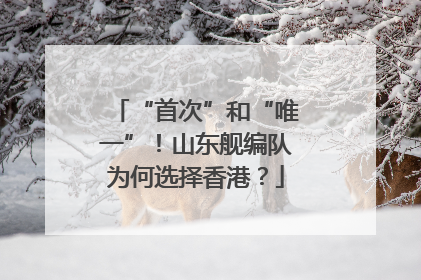 “首次”和“唯一”！山东舰编队为何选择香港？