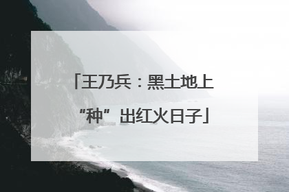 王乃兵：黑土地上“种”出红火日子