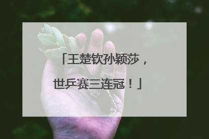 王楚钦孙颖莎，世乒赛三连冠！