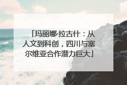 玛丽娜·拉古什：从人文到科创，四川与塞尔维亚合作潜力巨大