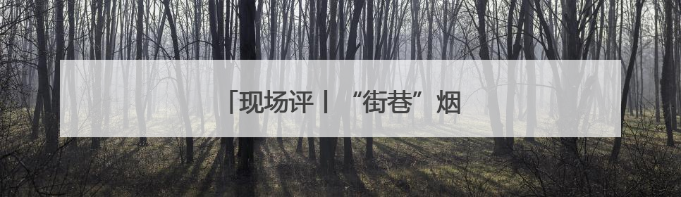 现场评丨“街巷”烟火气激发消费新活力