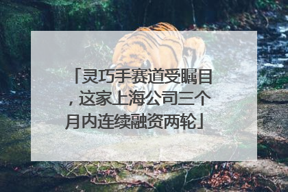 灵巧手赛道受瞩目，这家上海公司三个月内连续融资两轮