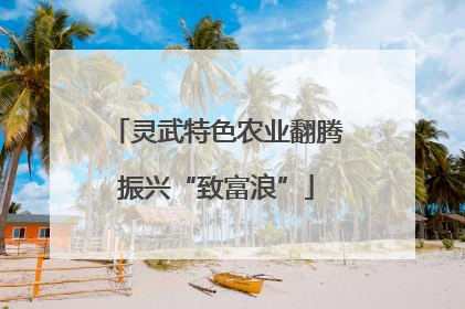 灵武特色农业翻腾振兴“致富浪”
