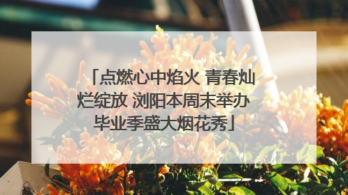点燃心中焰火 青春灿烂绽放 浏阳本周末举办毕业季盛大烟花秀