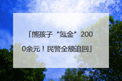 熊孩子“氪金”2000余元！民警全额追回