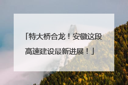 特大桥合龙！安徽这段高速建设最新进展！