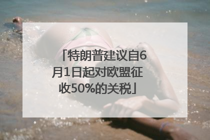 特朗普建议自6月1日起对欧盟征收50%的关税