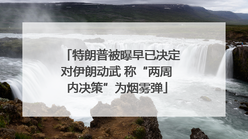 特朗普被曝早已决定对伊朗动武 称“两周内决策”为烟雾弹