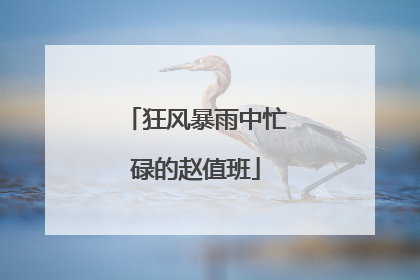 狂风暴雨中忙碌的赵值班