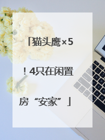 猫头鹰×5！4只在闲置房“安家”