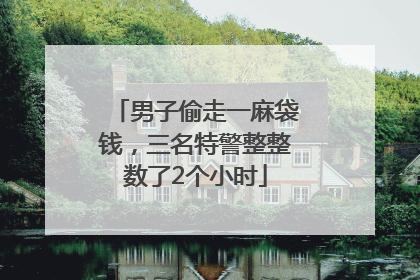 男子偷走一麻袋钱，三名特警整整数了2个小时