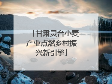 甘肃灵台小麦产业点燃乡村振兴新引擎