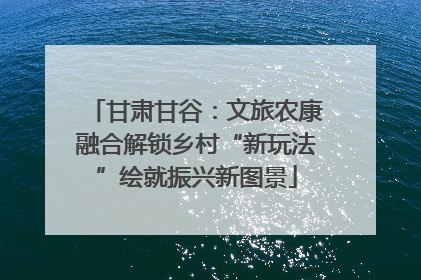 甘肃甘谷：文旅农康融合解锁乡村“新玩法”绘就振兴新图景