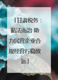 甘肃税务：循法而治 助力民营企业合规经营行稳致远