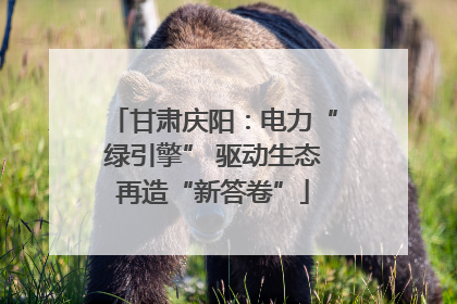 甘肃庆阳：电力“绿引擎” 驱动生态再造“新答卷”
