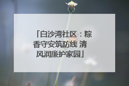 白沙湾社区：粽香守安筑防线 清风润廉护家园