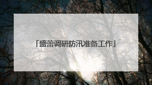 盛蕾调研防汛准备工作