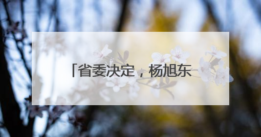 省委决定，杨旭东任安庆经济技术开发区党工委书记兼管委会主任（副厅级）