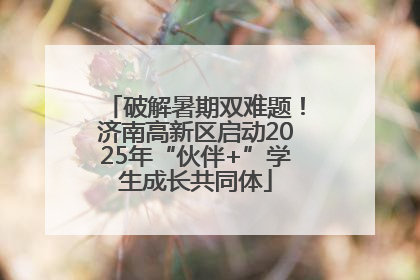 破解暑期双难题！济南高新区启动2025年“伙伴+”学生成长共同体