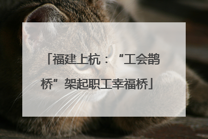 福建上杭：“工会鹊桥”架起职工幸福桥