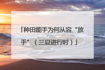 种田能手为何从容“放手”（三夏进行时）